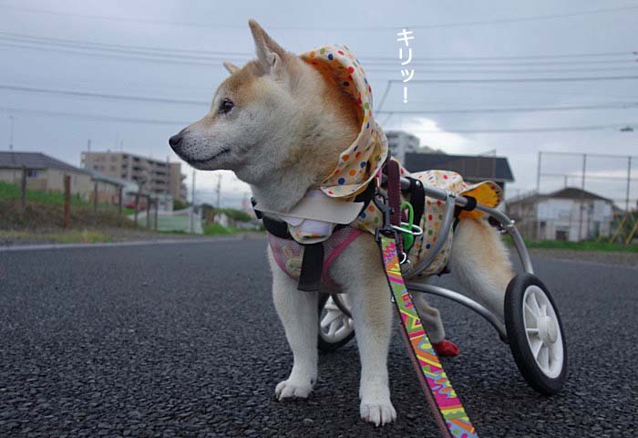 29日ブログ４