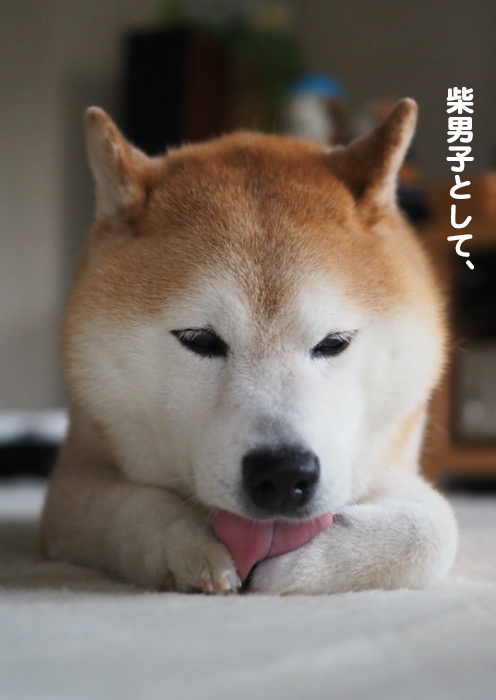 26日夜ブログ3