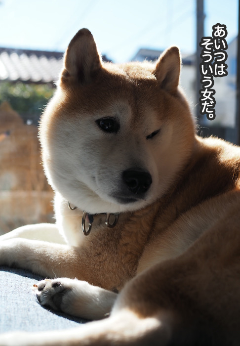 4日ブログ４