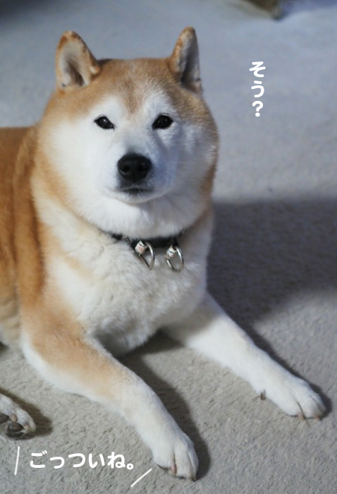 20日夕ブログ８
