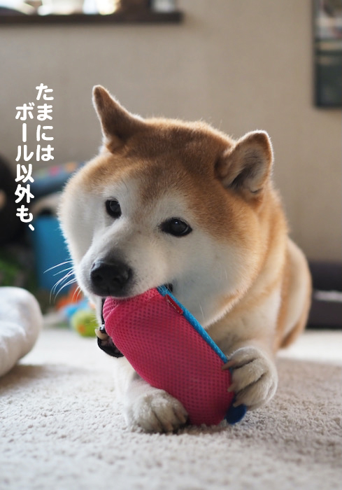 25日夜ブログ４