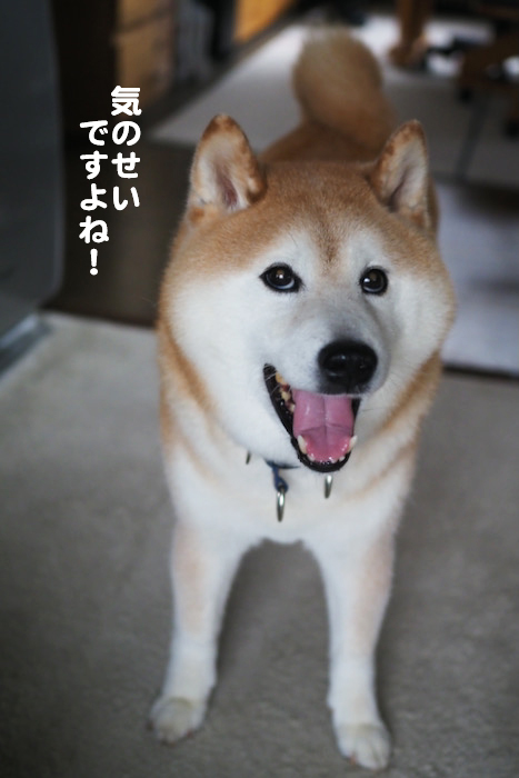 14日ブログ５
