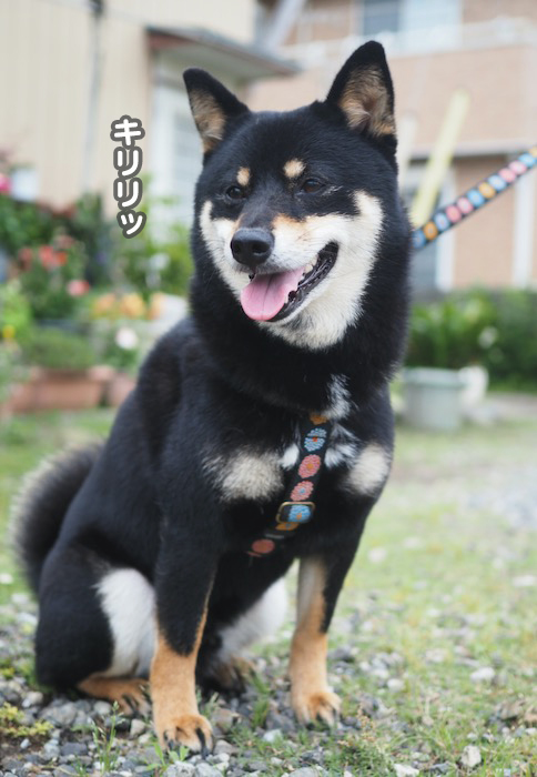 10日夕ブログ４