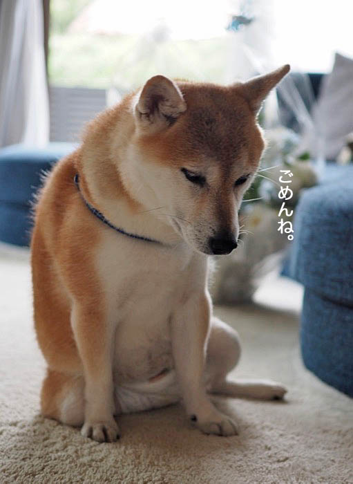 21日午後ブログ１０