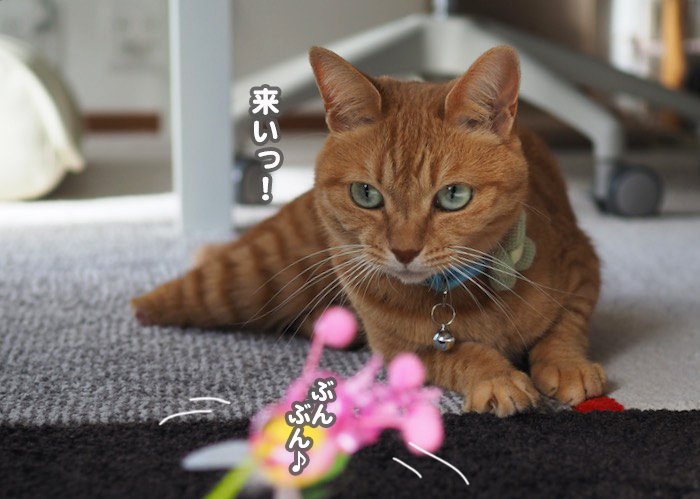 4日ブログ５
