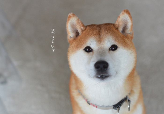 28日ブログ7