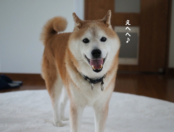 23日夕ブログ５