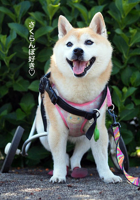 27日ブログ３