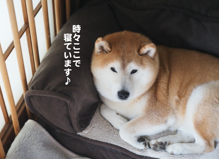 19日夕ブログ２