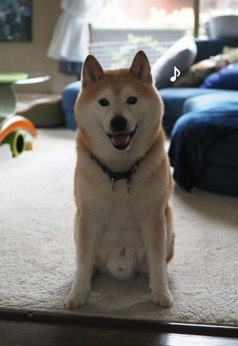 18日ブログ6