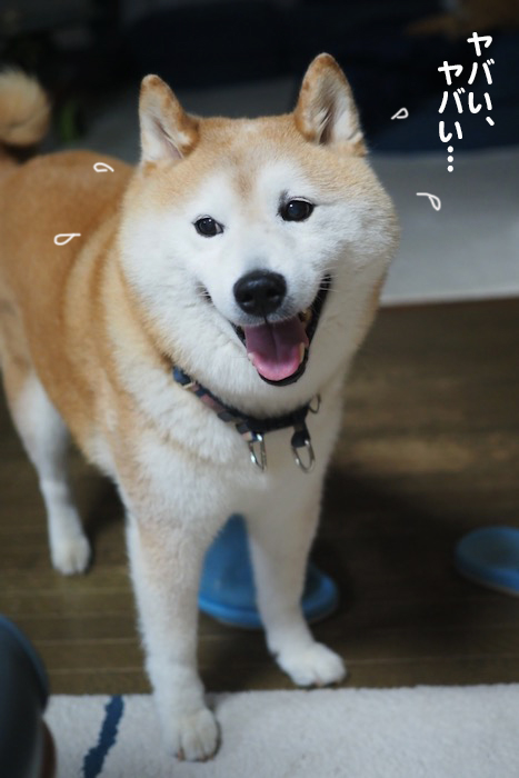 1日午前ブログ３