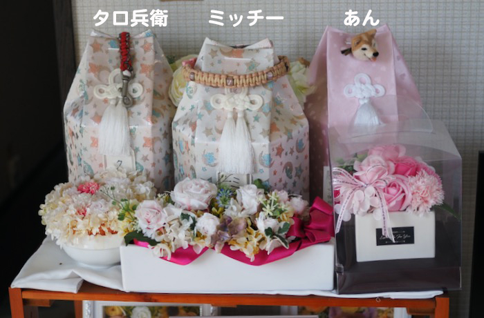 13日ブログ３