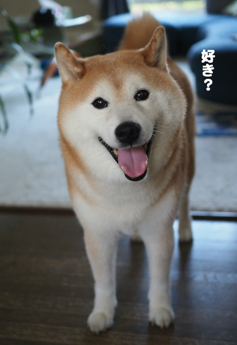 24日ブログ３