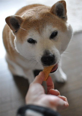 19日ブログ６.jpg