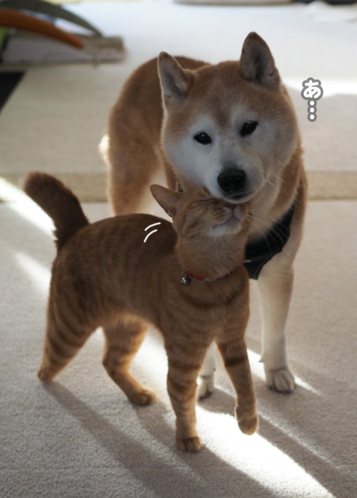 20日夕ブログ３