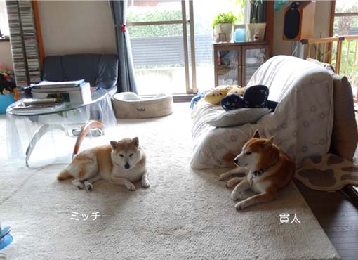 27日ブログ2.jpg
