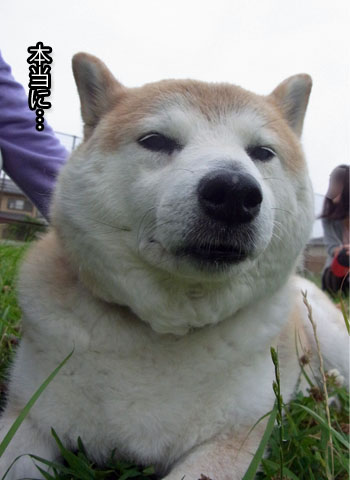 25日ブログ8.jpg