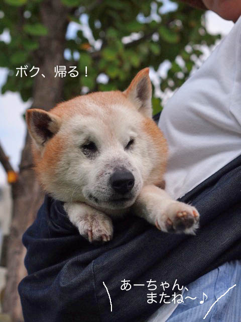 28日ブログ7