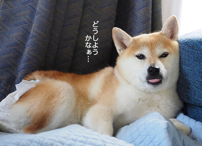 4日夜ブログ４