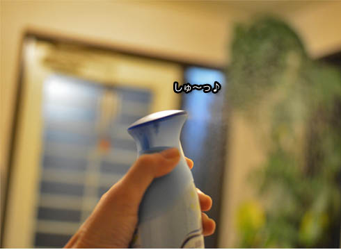 13日ブログ5.jpg