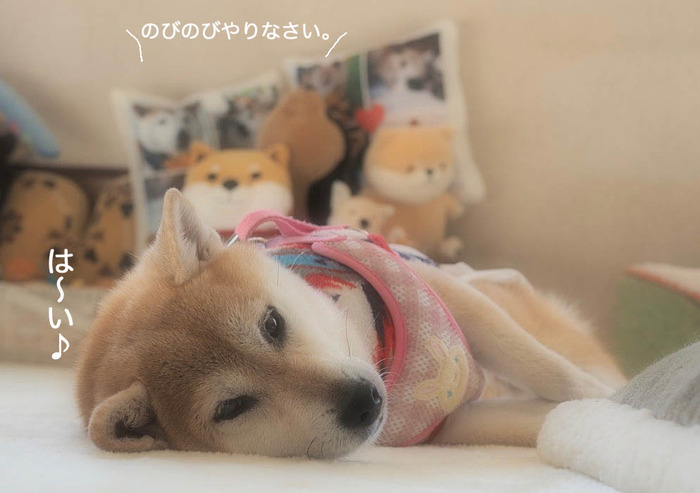 18日夜ブログ4