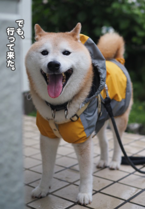 13日夕ブログ５