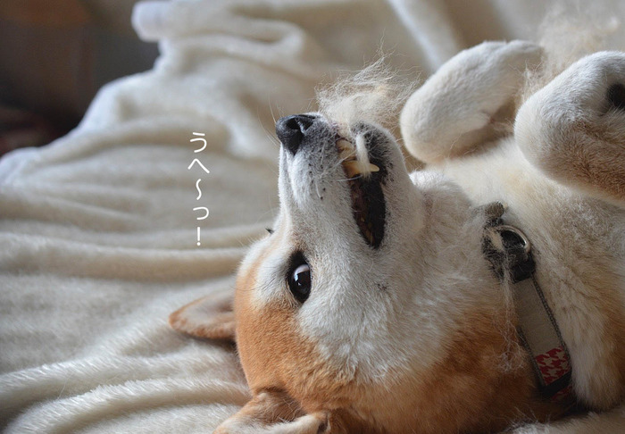 29日ブログ7