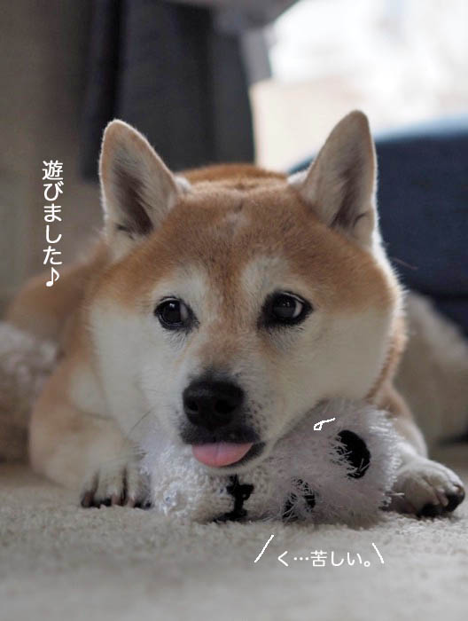 12日ブログ２
