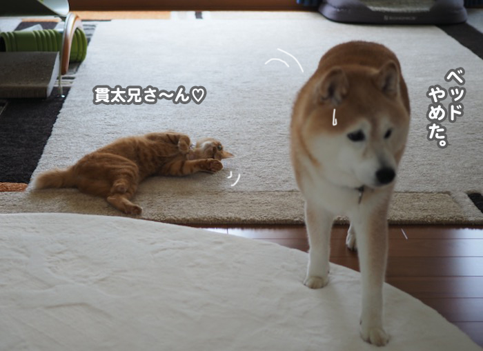17日夕ブログ７