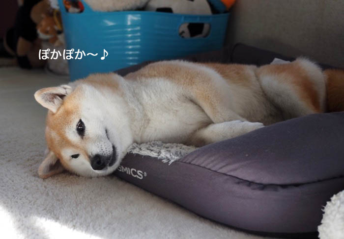 22日夜ブログ2