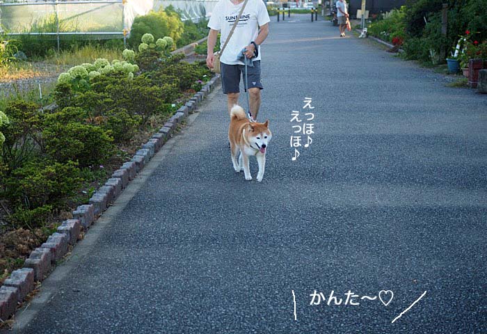 27日ブログ４