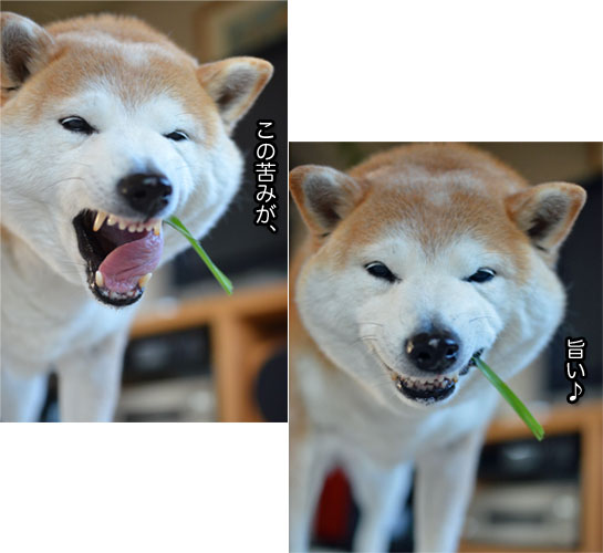 20日ブログ14.jpg