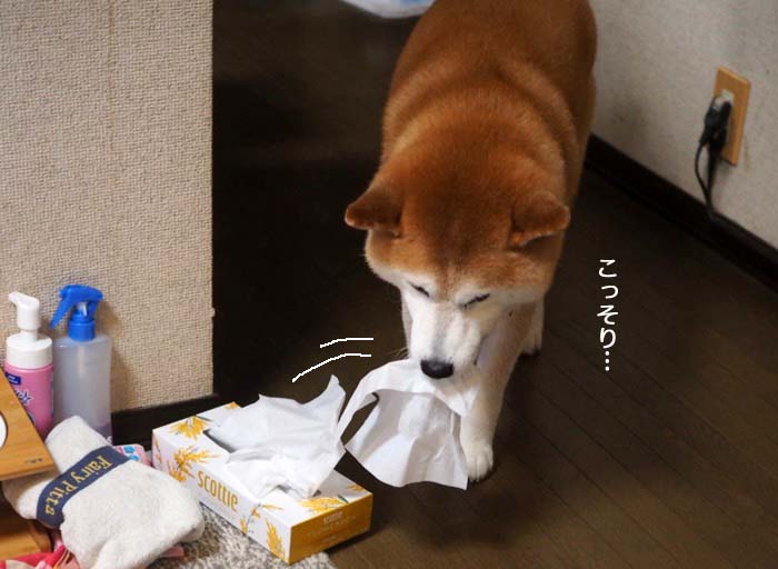 10日ブログ６