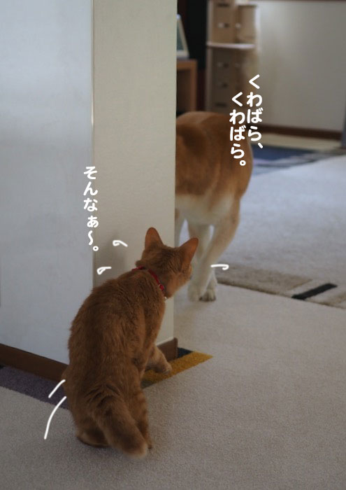 7日ブログ5