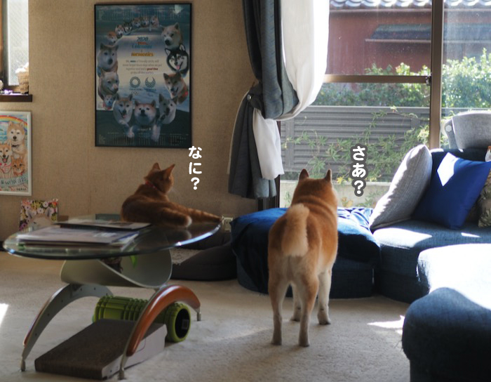 11日ブログ２