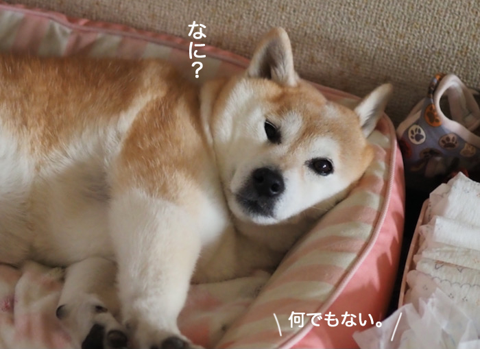 30日ブログ１