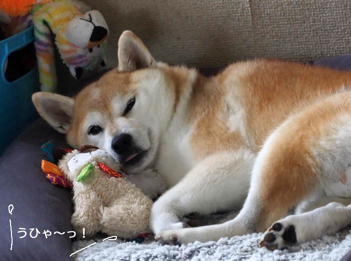 25日夕ブログ3