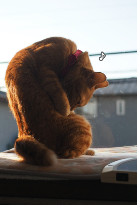 2日ブログ４