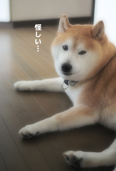 22日ブログ２