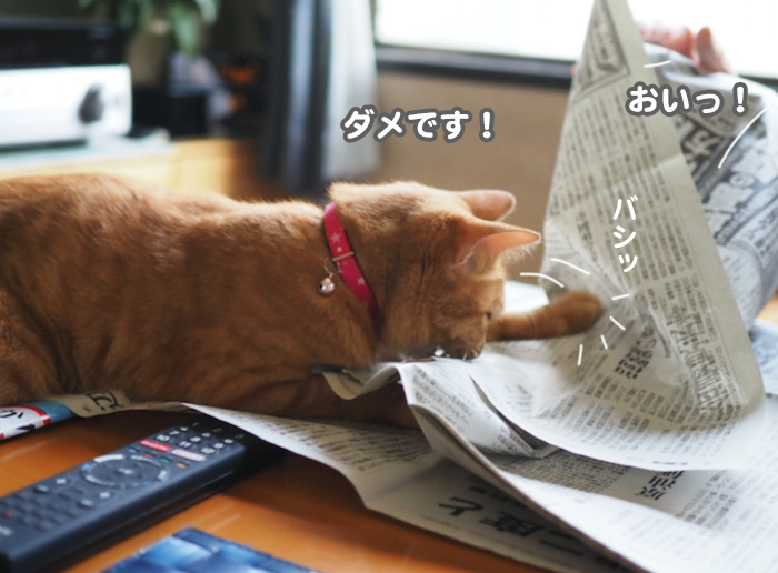 2日夕ブログ４