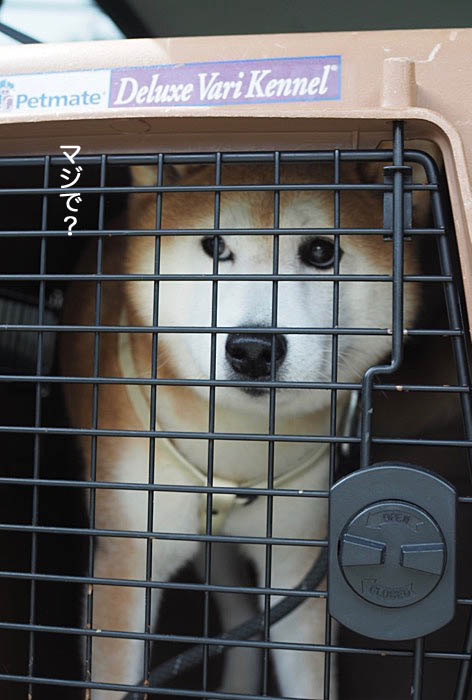 6日ブログ5