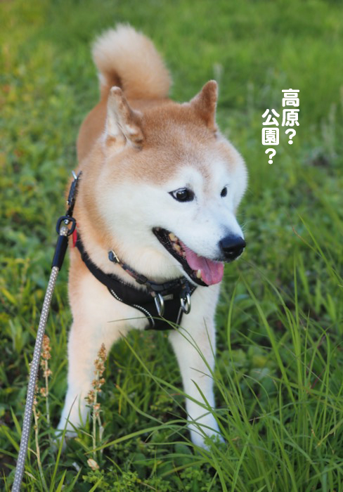 28日夕ブログ２