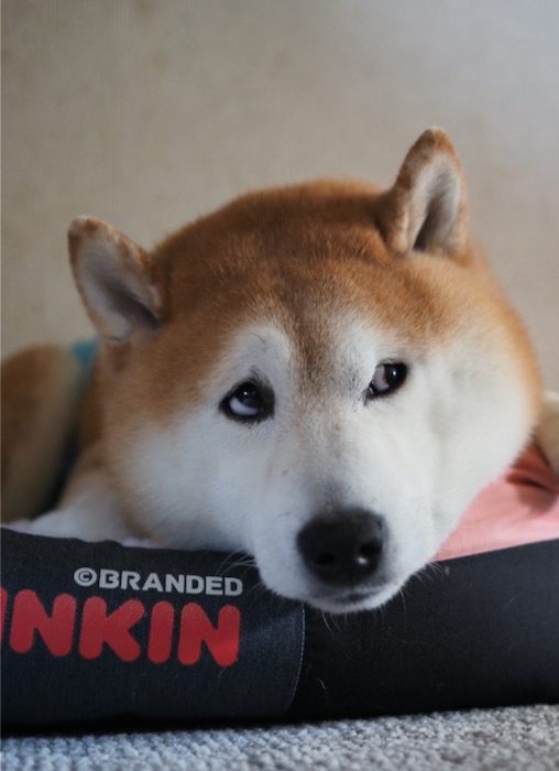 24日夜ブログ３