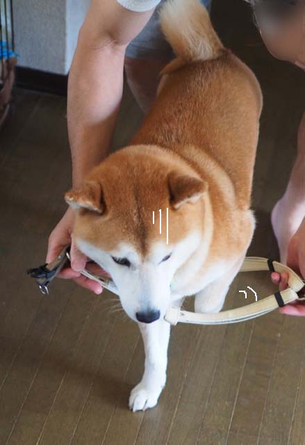 20日ブログ８
