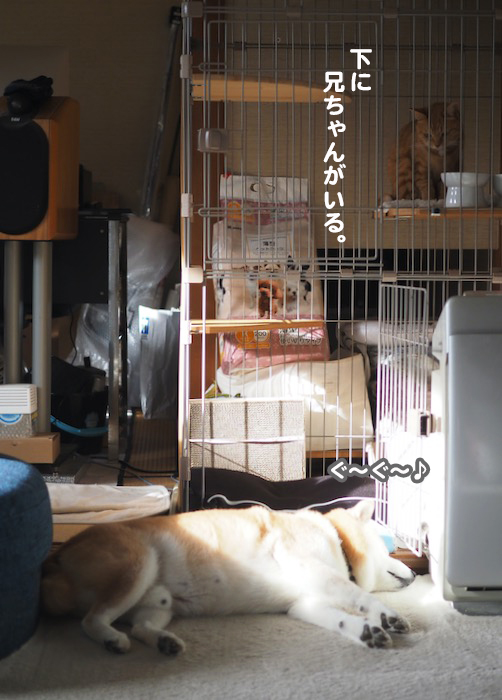 18日ブログ４
