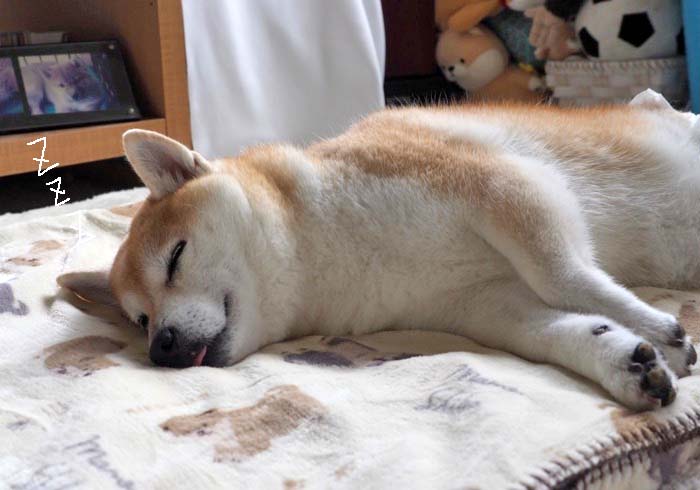 1日午後ブログ２