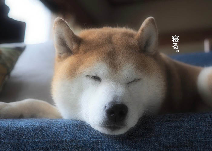 19日ブログ４