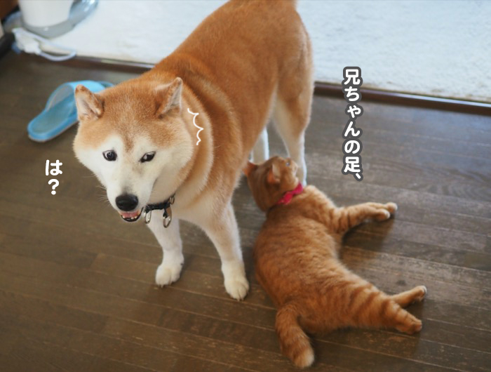 2日夕ブログ６