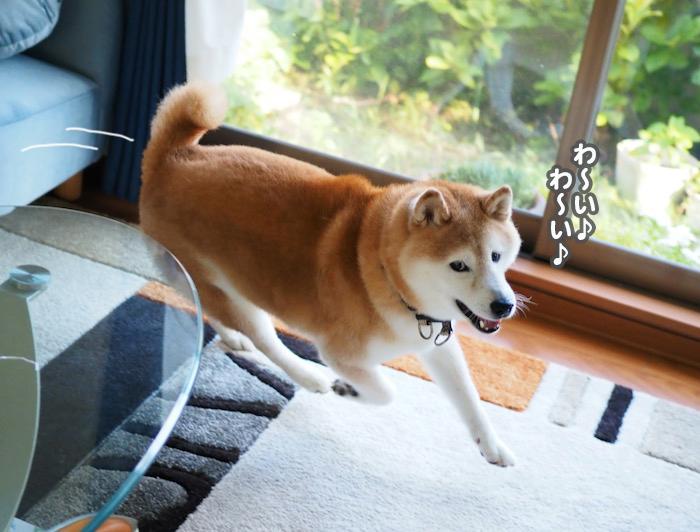 19日ブログ３