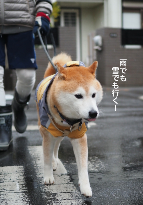 10日夜ブログ５